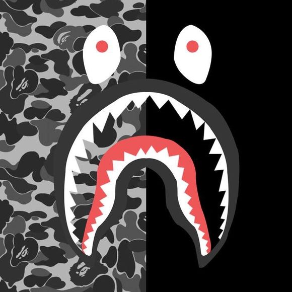 Meet your Posher, Rodrigo - Picture 1 of 1